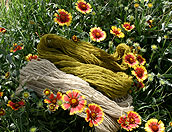 Coreopsis with Yarn